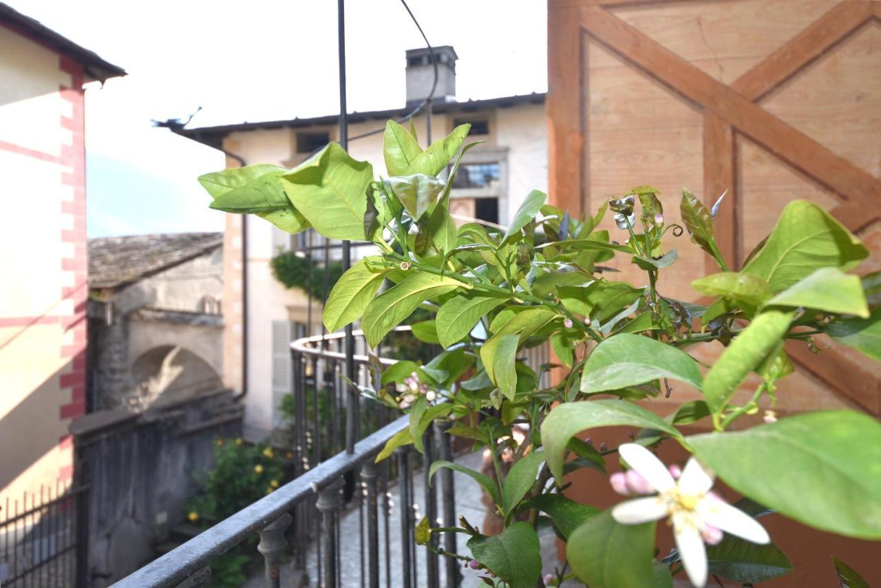 Il Drago Al Roseto Del Drago Villa San Bernardo  Exterior photo